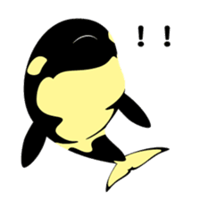 ORCAS ALL OVER!! sticker #622984