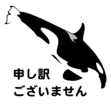 ORCAS ALL OVER!! sticker #622986