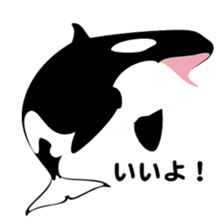 ORCAS ALL OVER!! sticker #622987