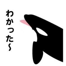 ORCAS ALL OVER!! sticker #622988