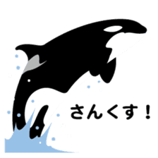 ORCAS ALL OVER!! sticker #622993