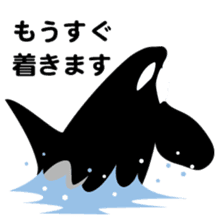 ORCAS ALL OVER!! sticker #622994