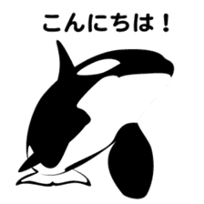 ORCAS ALL OVER!! sticker #622996