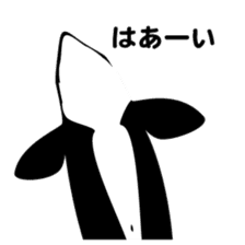 ORCAS ALL OVER!! sticker #622997