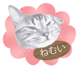 My cat Tama's stamps sticker #624323