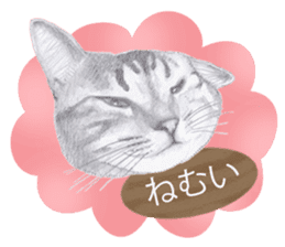 My cat Tama's stamps sticker #624323