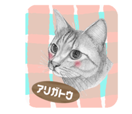 My cat Tama's stamps sticker #624324