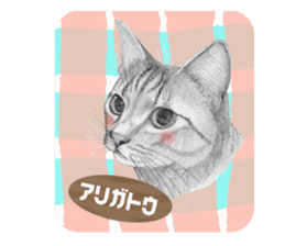 My cat Tama's stamps sticker #624324