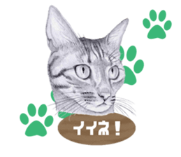 My cat Tama's stamps sticker #624327