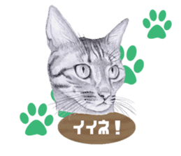 My cat Tama's stamps sticker #624327