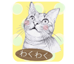 My cat Tama's stamps sticker #624328