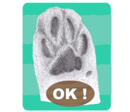 My cat Tama's stamps sticker #624329