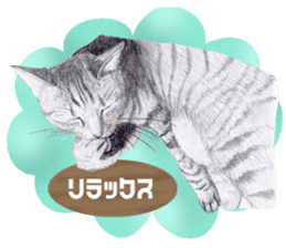 My cat Tama's stamps sticker #624330
