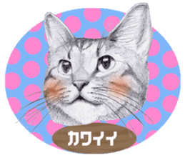 My cat Tama's stamps sticker #624333