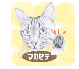 My cat Tama's stamps sticker #624334