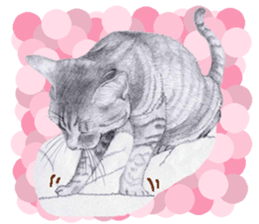 My cat Tama's stamps sticker #624335