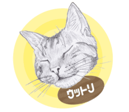 My cat Tama's stamps sticker #624336