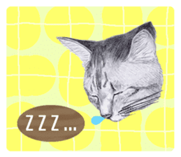 My cat Tama's stamps sticker #624337