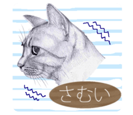 My cat Tama's stamps sticker #624341