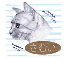 My cat Tama's stamps sticker #624341