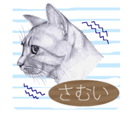 My cat Tama's stamps sticker #624341