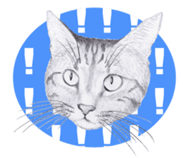 My cat Tama's stamps sticker #624342