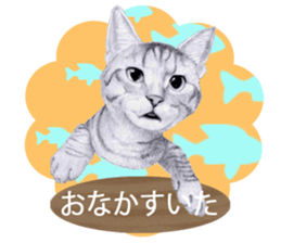 My cat Tama's stamps sticker #624344