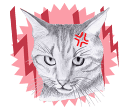 My cat Tama's stamps sticker #624346
