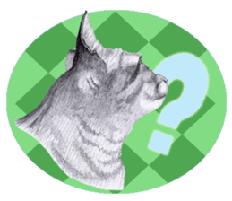 My cat Tama's stamps sticker #624349