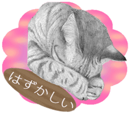 My cat Tama's stamps sticker #624350