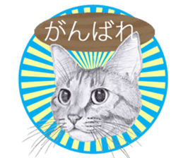 My cat Tama's stamps sticker #624354