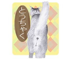 My cat Tama's stamps sticker #624357