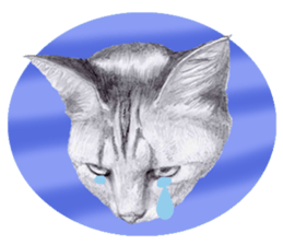 My cat Tama's stamps sticker #624360