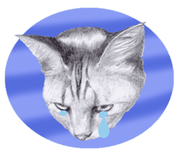 My cat Tama's stamps sticker #624360