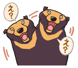 Mr.Atsuo of a sun bear sticker #624717