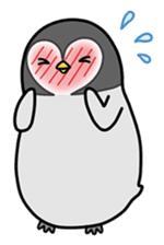 Emperor penguin Hachan 1 sticker #625726