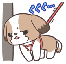 I like dogs-Shih Tzu!! sticker #626811