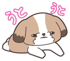 I like dogs-Shih Tzu!! sticker #626812