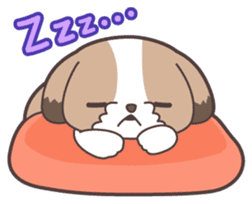 I like dogs-Shih Tzu!! sticker #626813