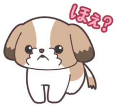 I like dogs-Shih Tzu!! sticker #626816