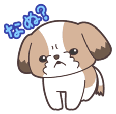 I like dogs-Shih Tzu!! sticker #626817