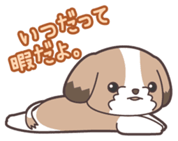 I like dogs-Shih Tzu!! sticker #626830