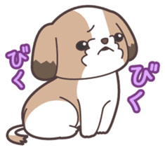 I like dogs-Shih Tzu!! sticker #626831