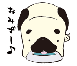 Maro Pug sticker #627742