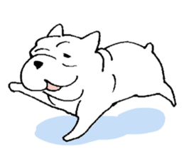 Kotarou is a french bulldog. sticker #631124