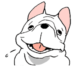 Kotarou is a french bulldog. sticker #631128