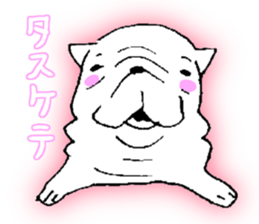 Kotarou is a french bulldog. sticker #631129