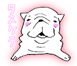 Kotarou is a french bulldog. sticker #631129