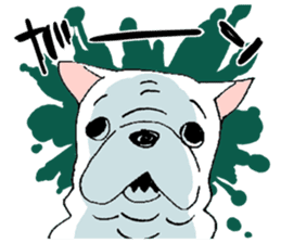 Kotarou is a french bulldog. sticker #631131