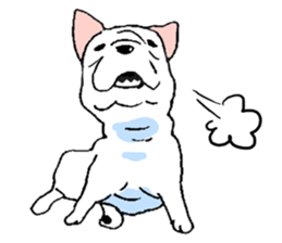 Kotarou is a french bulldog. sticker #631138